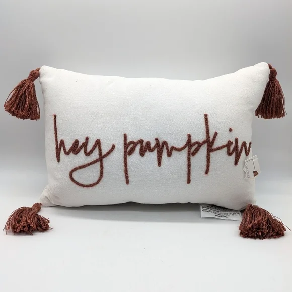 ✨3/$15 Hey Pumpkin White Burnt Red/Orange Embroidered Fall Autumn Throw Pillow