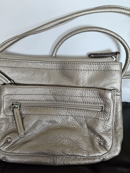 Tiagnello Metallic Champagne Leather Crossbody Bag