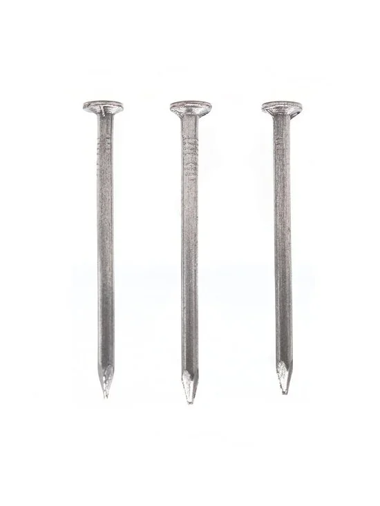 cSeao 300pcs 20mm / 0.75 Inch Length Flat Nails for Picture Wall Hanging, Wood N