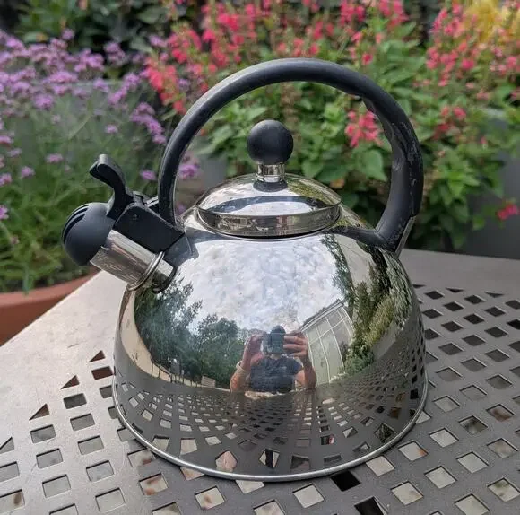 Stainless Steel Tea Kettle Whistling Teakettle 8
