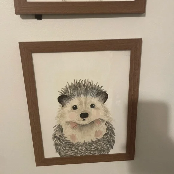 Set of 8 Framed Baby Animal Art Prints