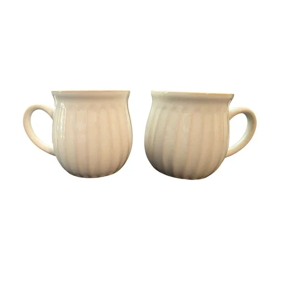 Set of 2 The Pioneer Woman Cream Stoneware Coffee Mugs Farmhouse‎ Cottagecore