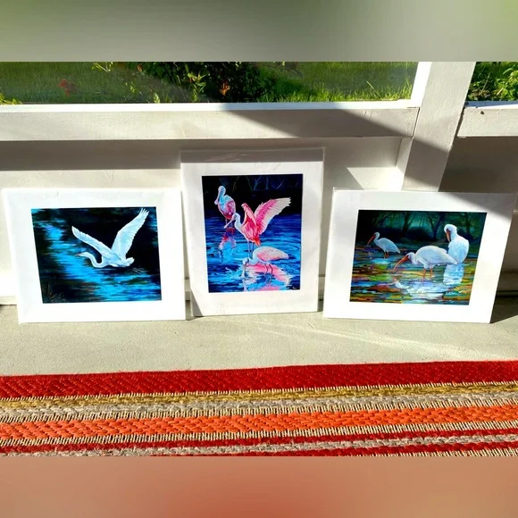 RonDeel Fine Art Florida Birds Prints