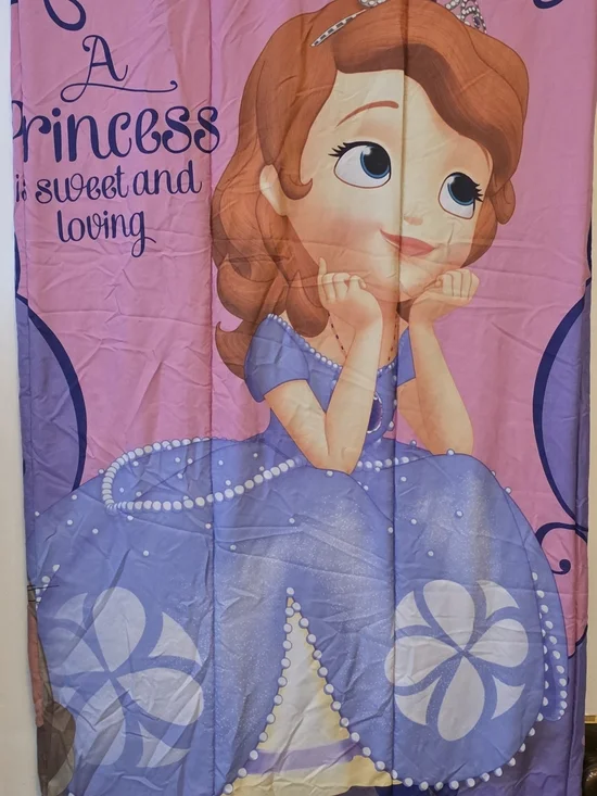Princess Sofia Pink and Purple Kids Comforter Twin