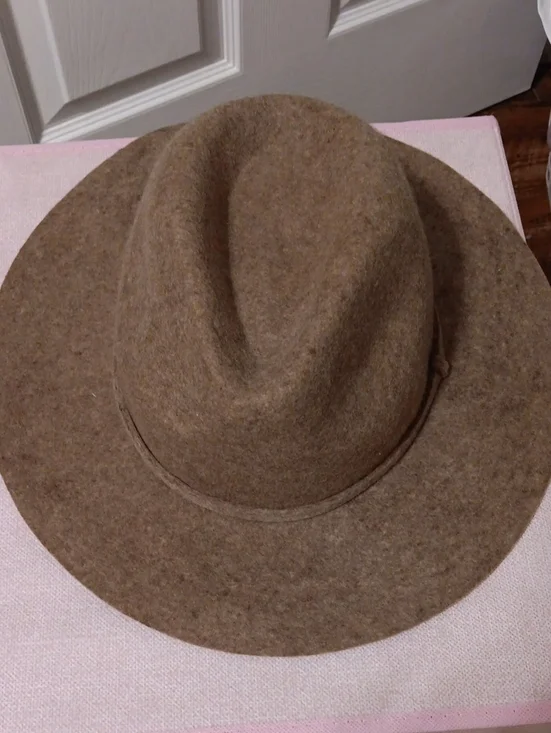 J. Crew Factory Tan Wool Felt Fedora