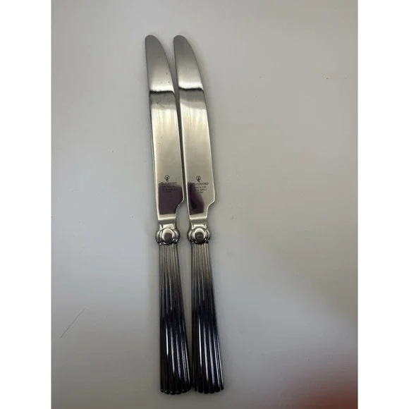 Waterford Carleton Stainless Dinner Knives Set of 2 18/10 Handle China