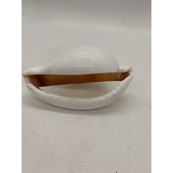 Large Natural Shell Napkin Ring Coastal Beach Table Decor Replacement Single