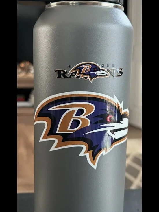Baltimore Ravens Gray Stainless Steel Tumbler