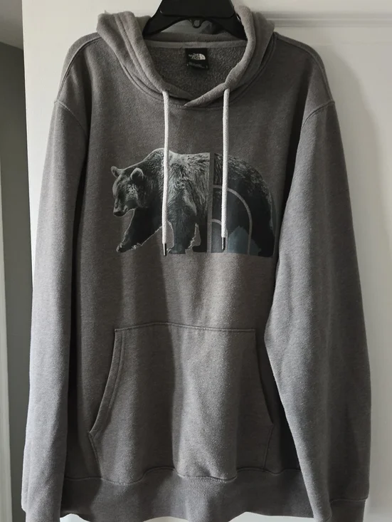 The North Face Gray Bear Graphic Pullover Hoodie