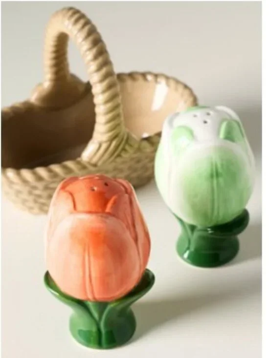 Anthropologie Louise Stoneware Salt & Pepper Shakers in Basket – New in the box