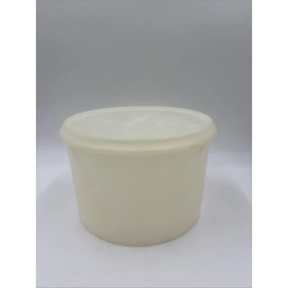 Vintage Tupperware Round Storage Container 267-3 & Lid 230-4 Clear