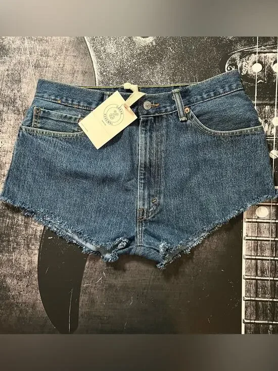 NWT Urban Renewal Levi's Denim Shorts