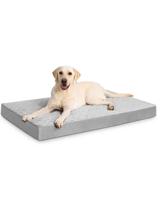 Large Orthopedic Dog Bed - Waterproof, Washable Cover, Non-Slip Bottom, 41x27