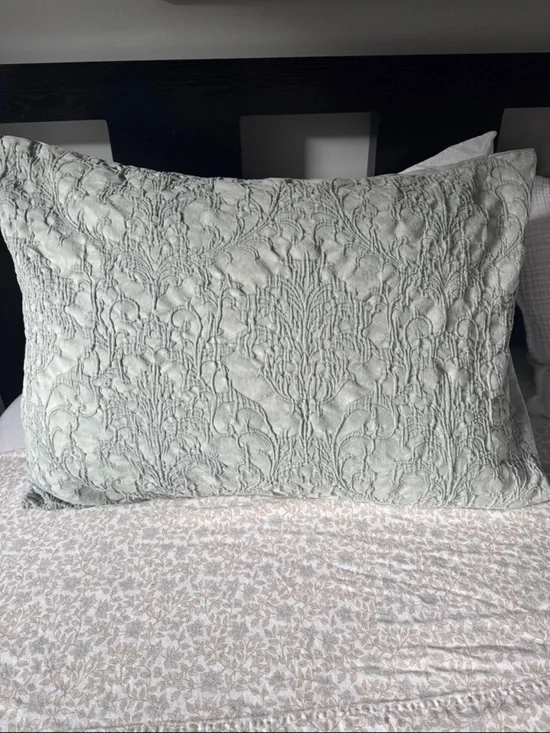 Artelier Nicole Miller 100% Cotton Textured Pillow Cases-Set of 2 STD Medallion