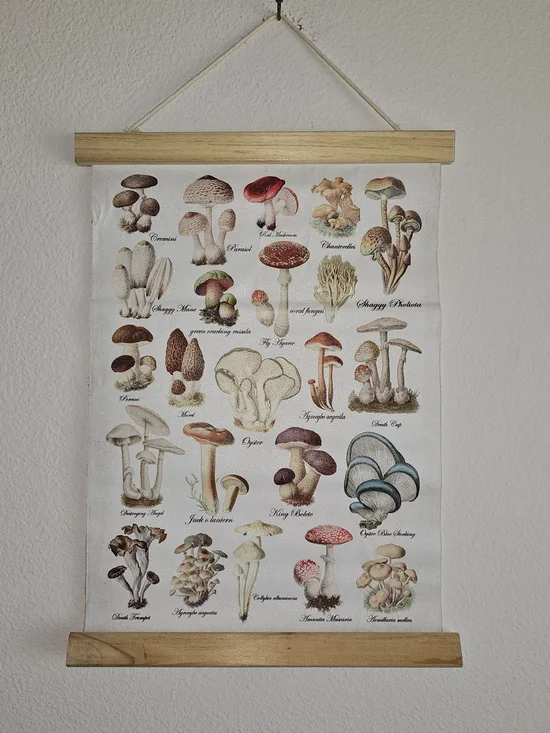 NWOT Botanical Mushroom Wall Hanging Print - Neutral & Green
