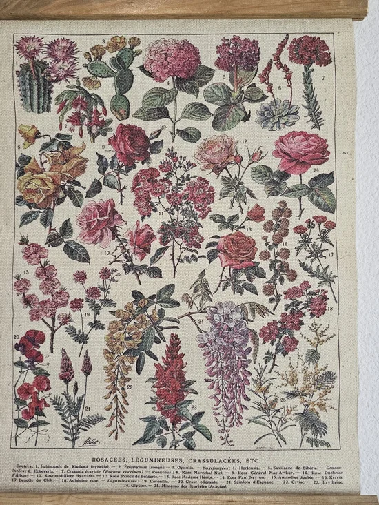 NWOT Vintage Botanical Floral Wall Art Print - Pink and Green