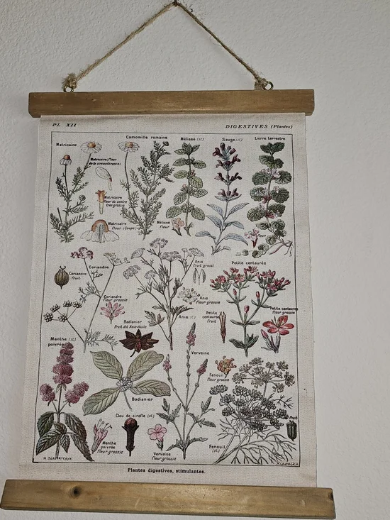 NWOT Botanical Herb Chart Wall Hanging - Beige & Green