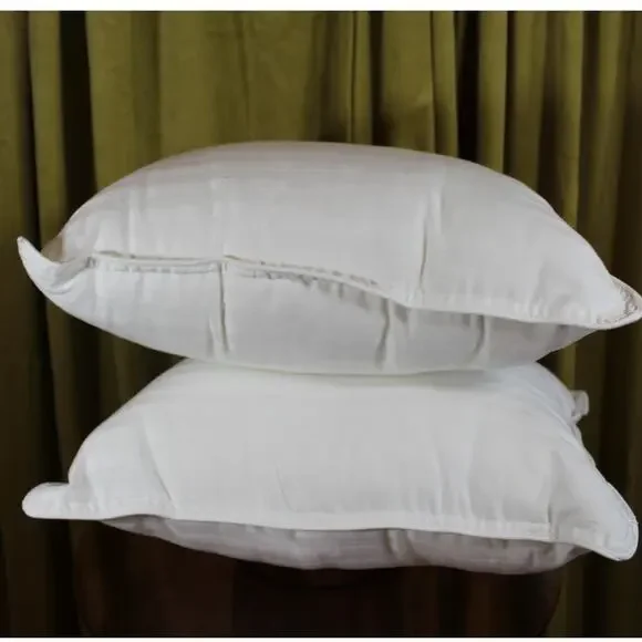 Two New Toddler Pillows 14x11