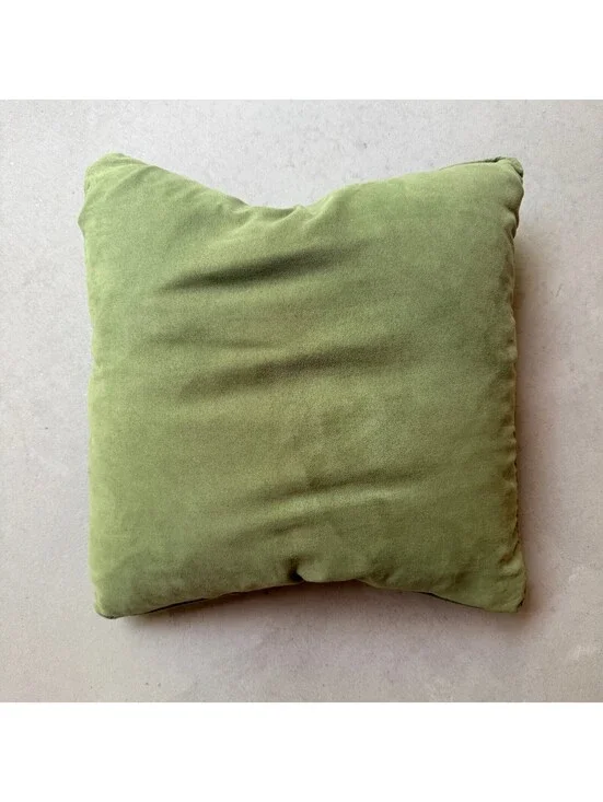 Green Down Feather Throw Pillow with Zipper Closure 17 inch Square Decorative