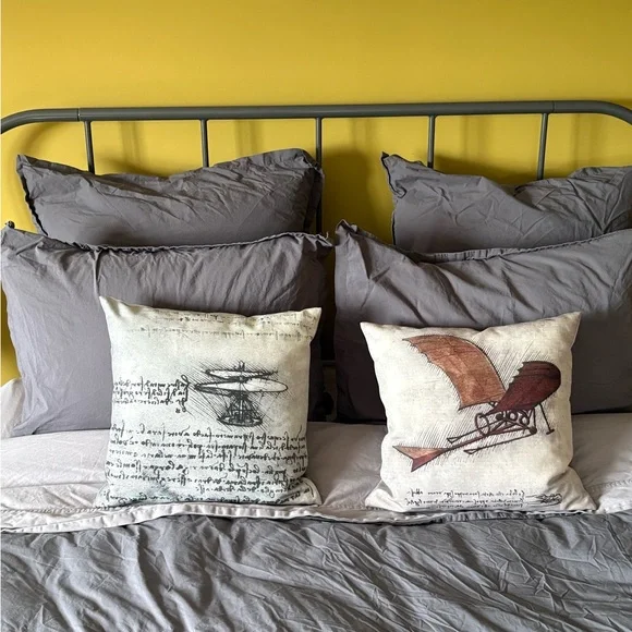 2 Printed Accent Pillows