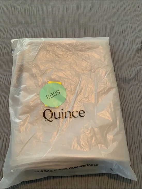 NEW Quince Organic Bamboo Pillowcase Set Standard Silver