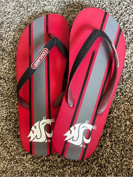Cougar Men's Red & Gray Striped Flip Flops with Black Straps