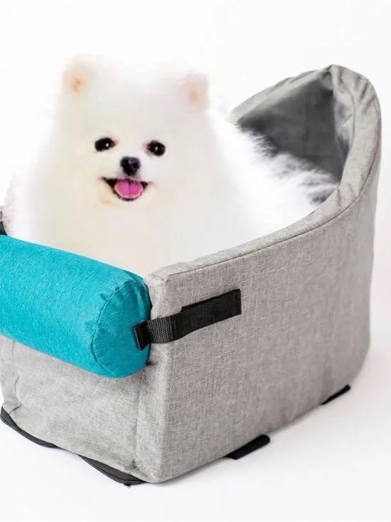Gray Pet Car Booster Seat with Teal Pillow