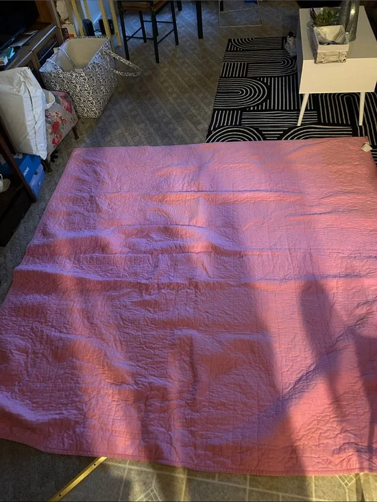 Pottery Barn kids comforter, 2 pillow cases and a sea horse set