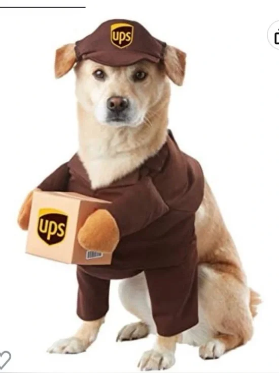 📦 