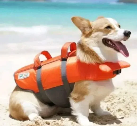 Outward Hound Granby Splash Dog Life Jacket Orange Large Water Safety Swimming