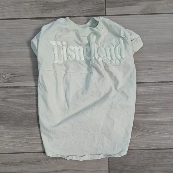 Disneyland Mint Green Glittery Dog Jersey