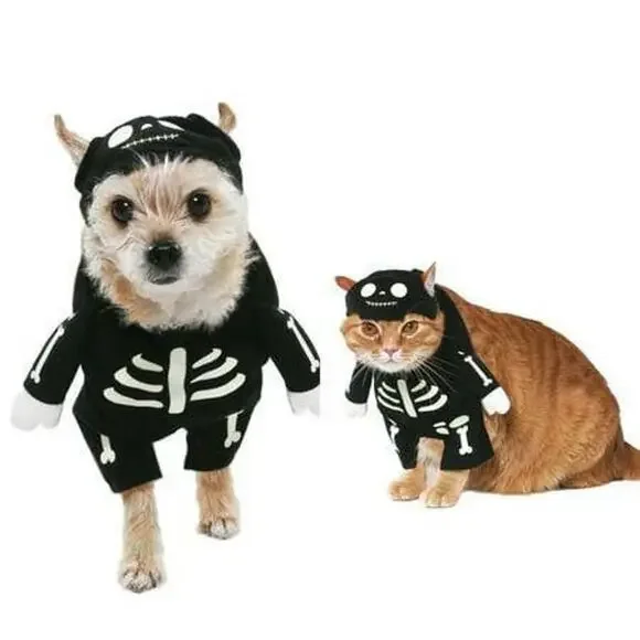 Vibrant Life Halloween Dog Costume Cat Costume: Skeleton Glow-In-The-Dark Sz XS