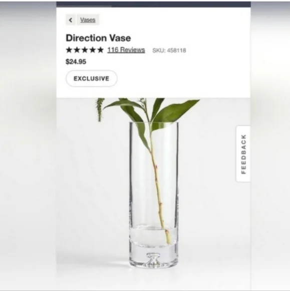 Crate and Barrel  Glass Vase