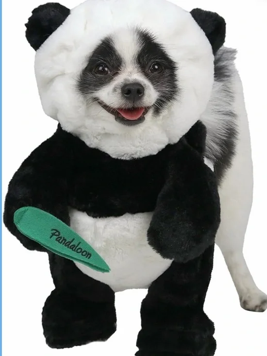 Shark tanks Pandaloons panda puppy cat pet costume size 1 EUC SUPER SOFT