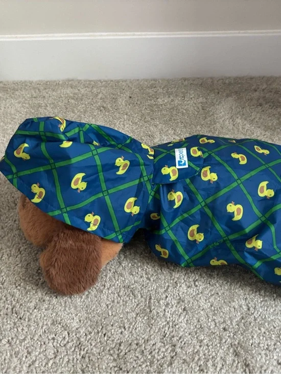 Small dog raincoat