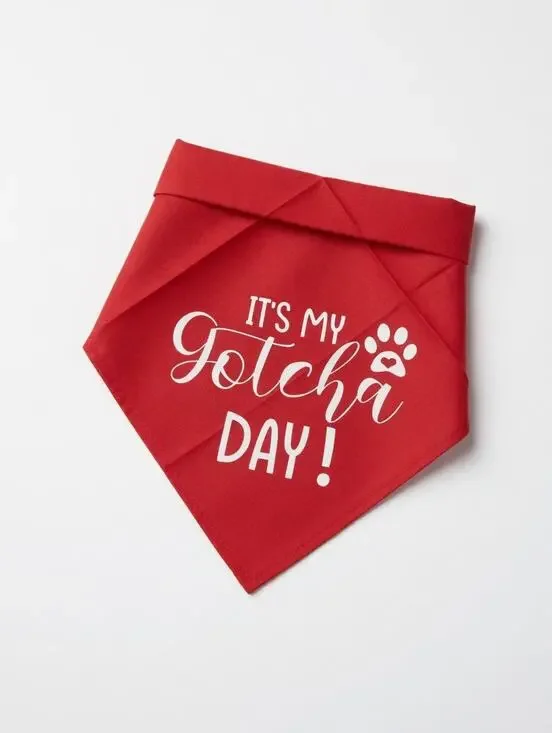Red Dog Bandana – 