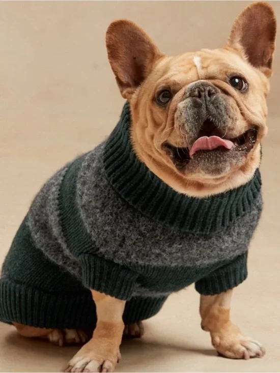 Banana Republic Merino Wool striped green grey Dog Sweater doodle sweater