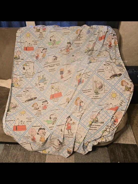 Vintage Peanuts Snoopy Happiness Is Twin Fitted Sheet Charlie Brown Blue Plaid
