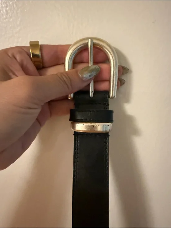 Aritzia Wilfred Belt