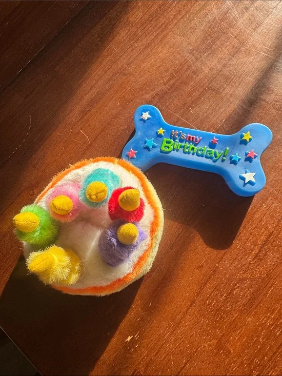 Birthday Plush Cake Pet Toy with 'It's My Birthday' Bone