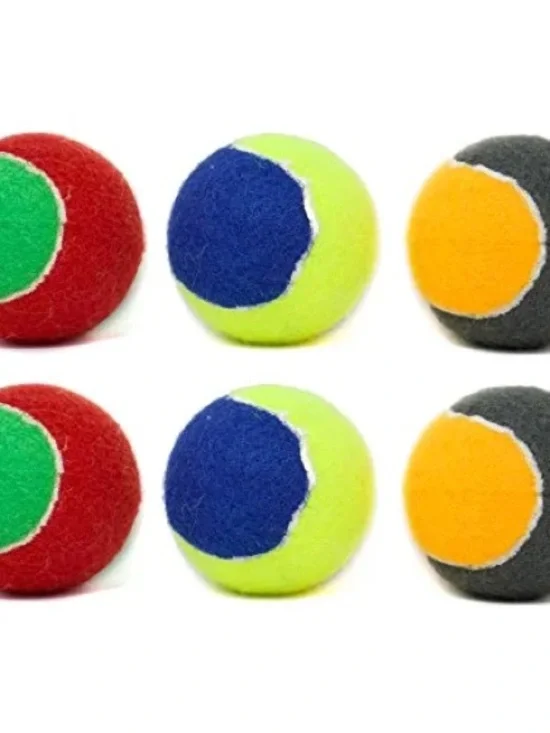 Colorful Two-Tone Dogs Toy Balls - Pack of 6
