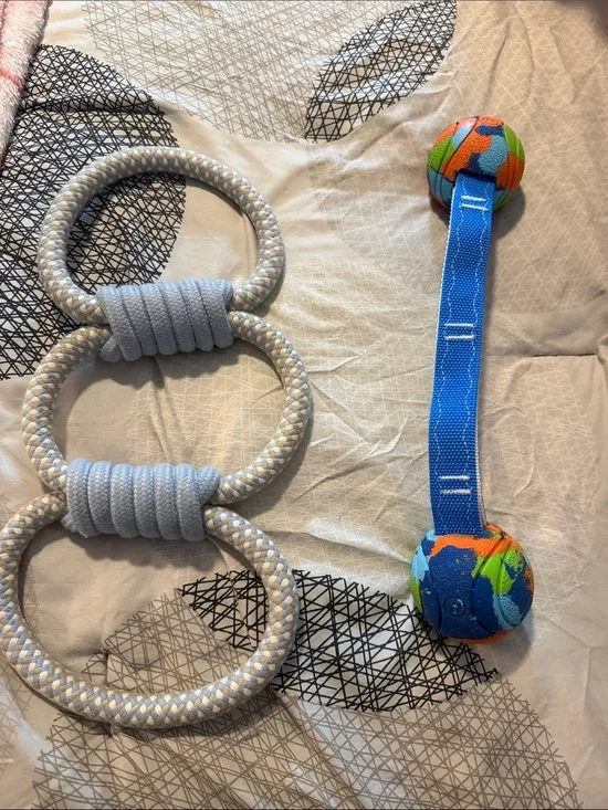 Durable Blue Rope Tug Toy & Colorful Ball Dangler Set