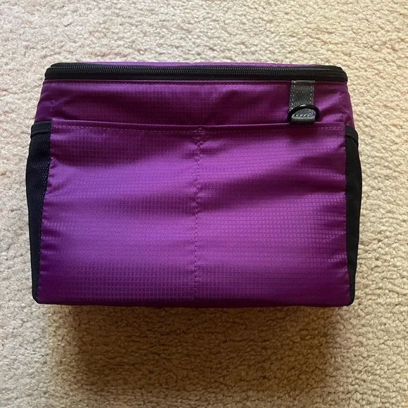 Tenba BYOB Camera Insert 10 - Plum/Gray