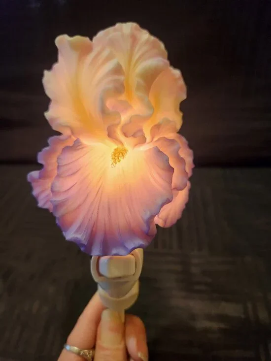 Ibis & Orchid Design Flowers of Light Iris Nightlight Hand Painted W/ Box Works