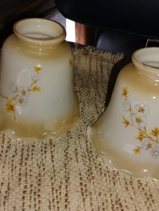 Vintage Pair of Cream and Gold Floral Glass Lantern Shades