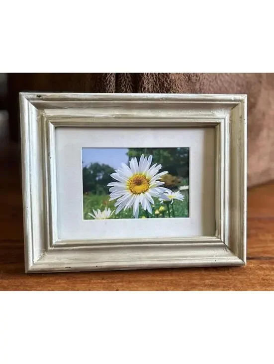 Vintage Cream Wooden Picture Frame with Daisy Photo