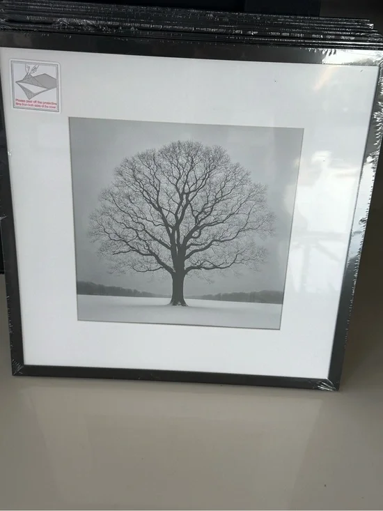 Black Framed Tree Wall Art Print