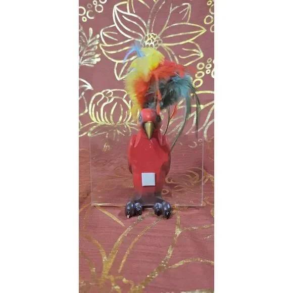 Rare Tropical Parrot 4x6 Picture Holder