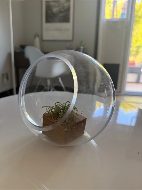 Ashland Clear Glass Hanging Orb with Wooden Insert