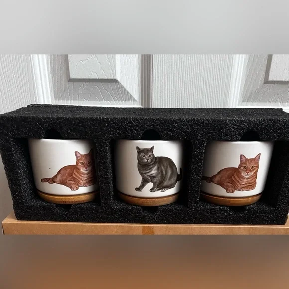 Mini Cat Planters | Set of 3 | NEW